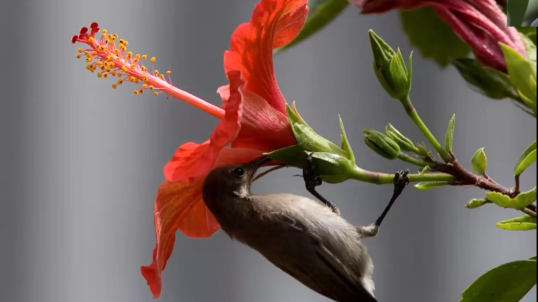 Screenshot-aspect-ratio-16x9