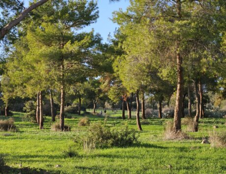 WhatsApp Image 2025-12-13 at 13.27.14