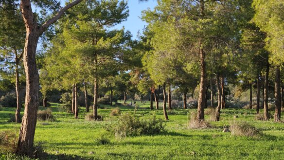 WhatsApp Image 2025-12-13 at 13.27.14