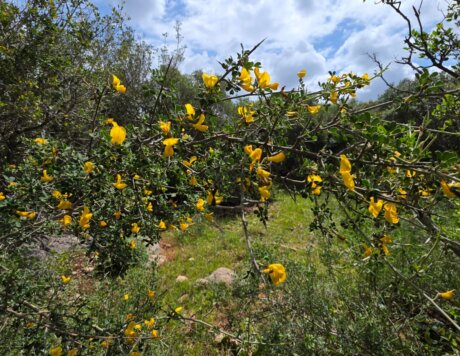 WhatsApp Image 2026-04-09 at 14.27.06