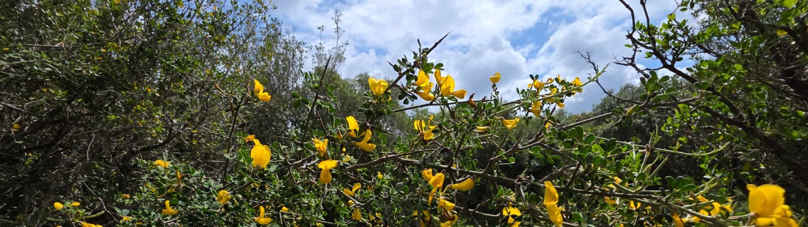 WhatsApp-Image-2026-04-09-at-14.27.06-aspect-ratio-x