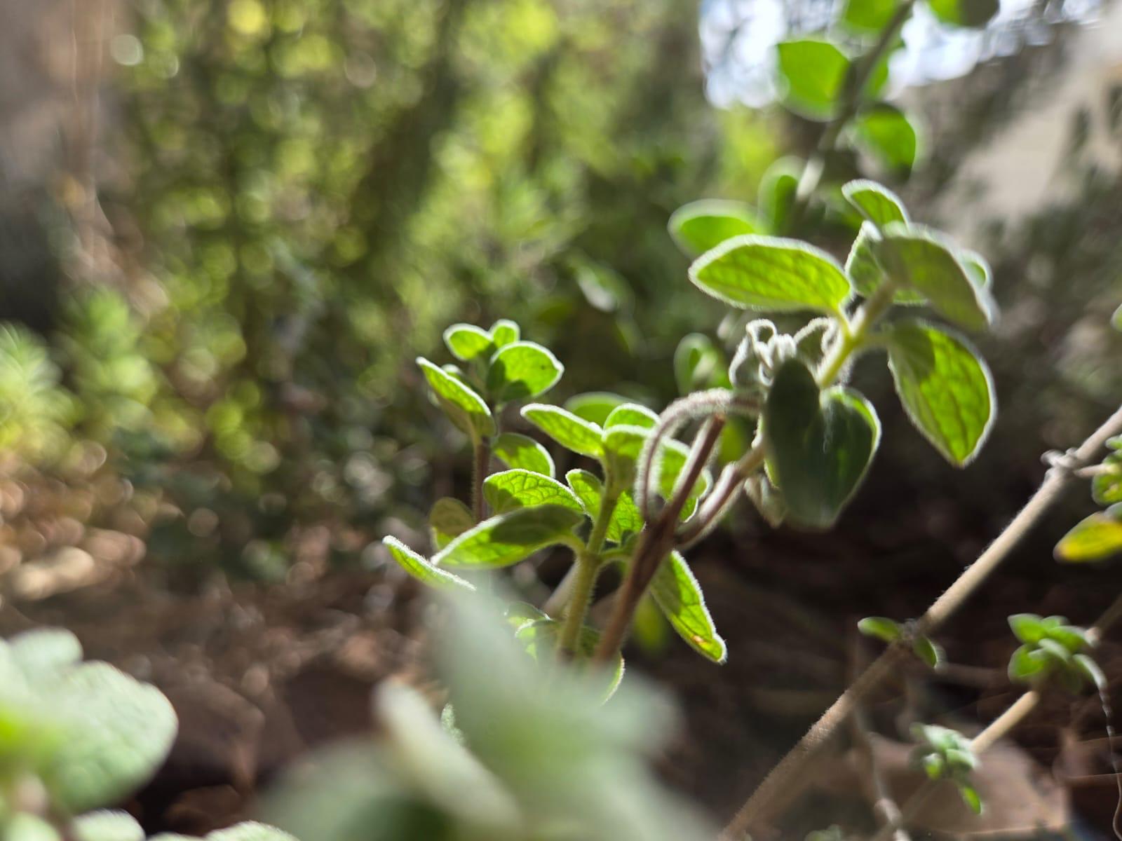 WhatsApp Image 2026-04-13 at 12.50.41 (1)