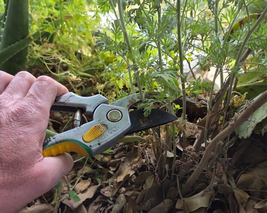 WhatsApp Image 2026-04-13 at 12.50.42 (4)