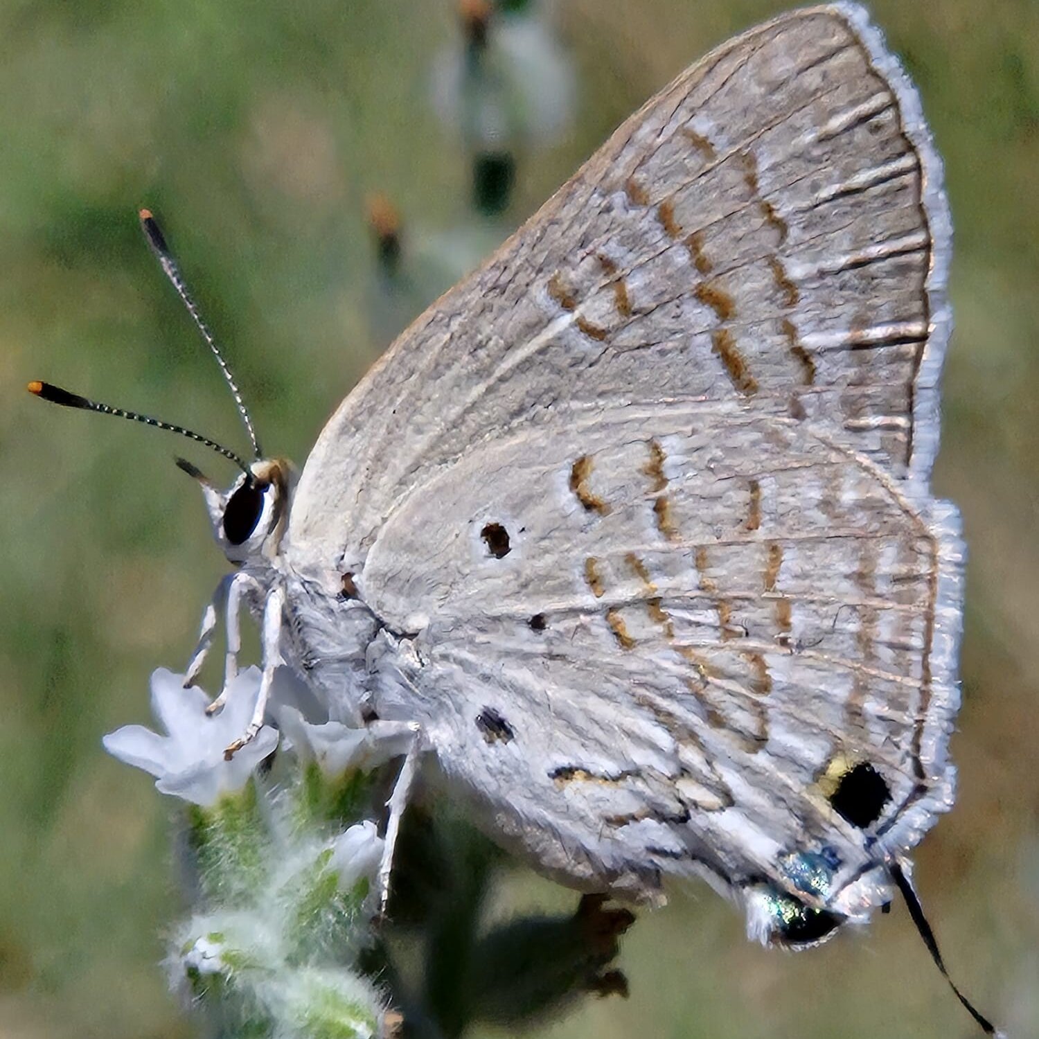 d1334148-8748-41c8-a8a4-b5efeb399cff-aspect-ratio-x