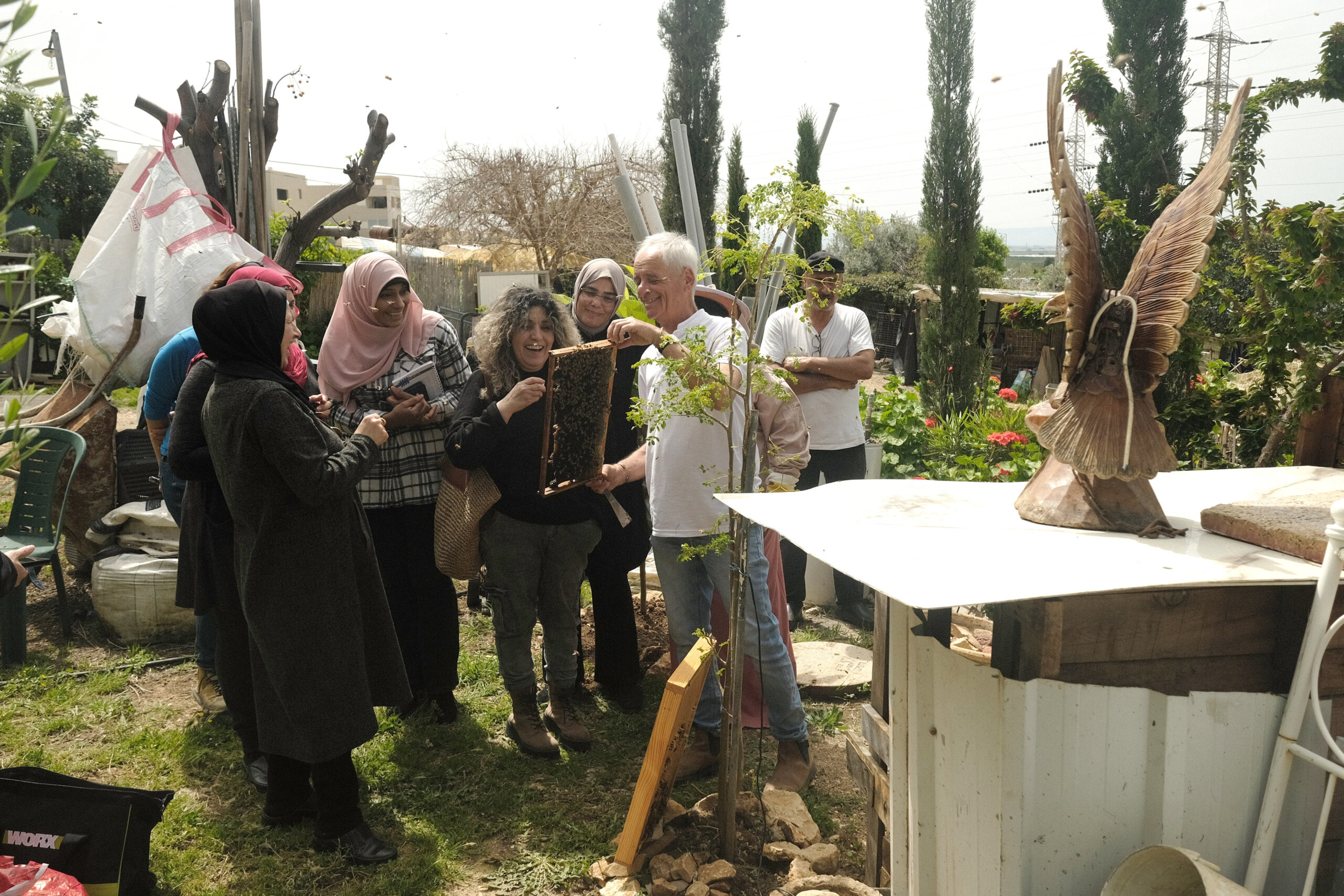 תמונות מוכנות 9