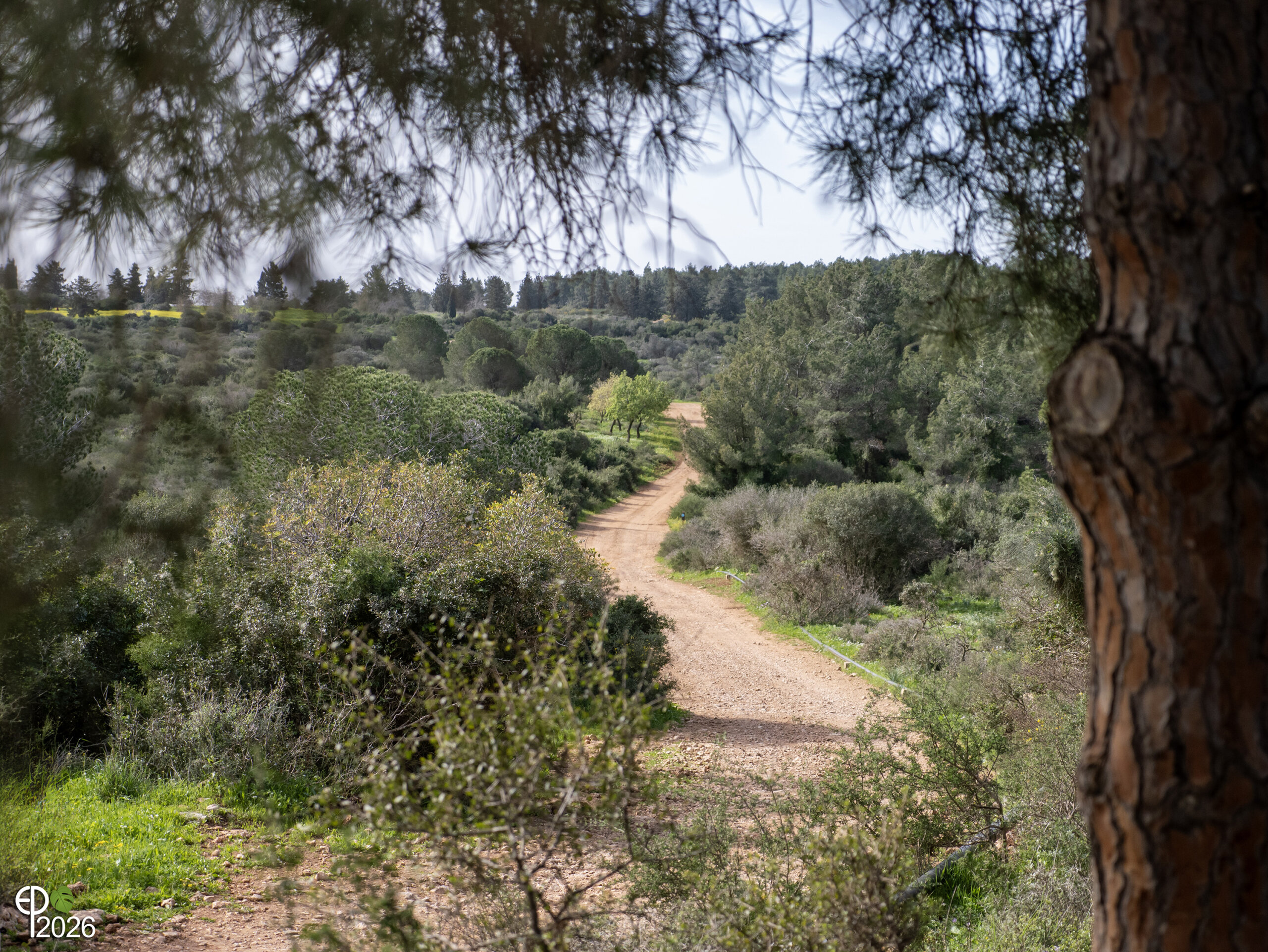 EranP_Trail