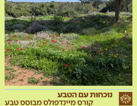 RH-MINDFULNESS WITH NATURE-V13 (2)