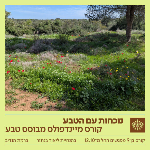 RH-MINDFULNESS WITH NATURE-V13 (2)