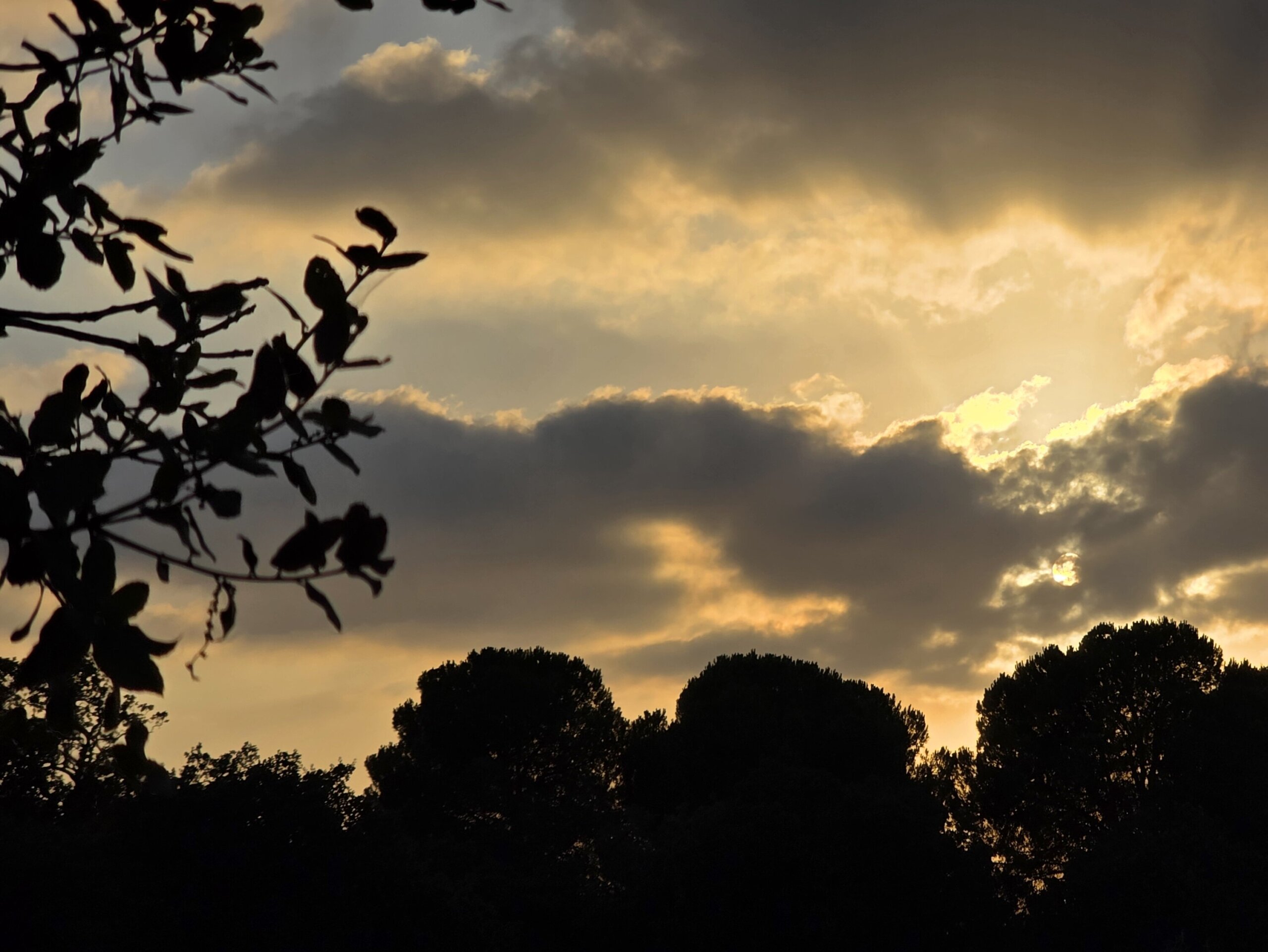20250715_191333-scaled-aspect-ratio-x
