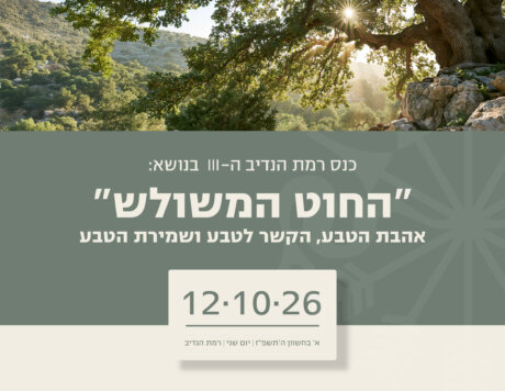 הזמנה-01
