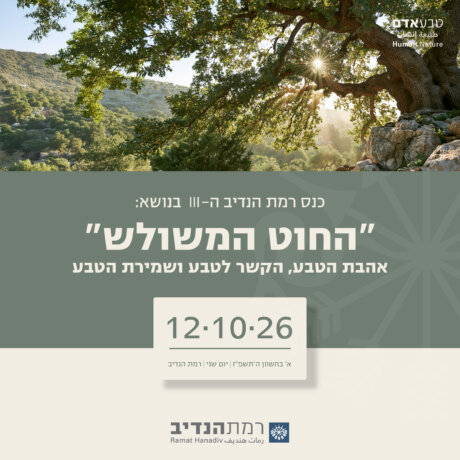 הזמנה-01