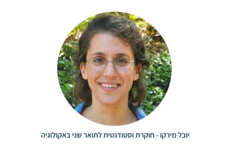 יובל מירקו